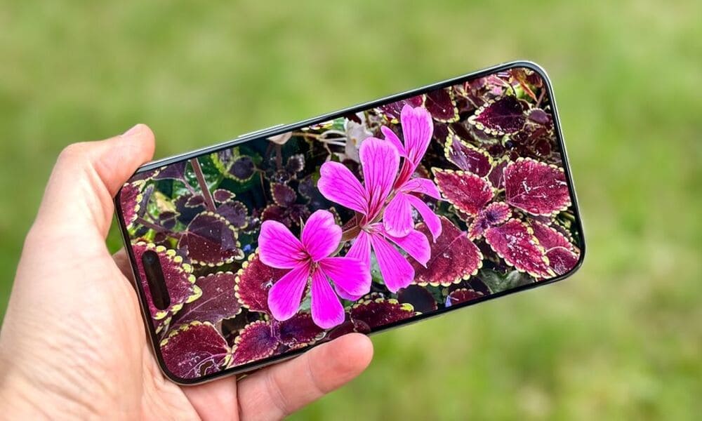 Viền màn hình siêu mỏng cùng màn hình lớn của iPhone 15 Pro Max 256GB cũ